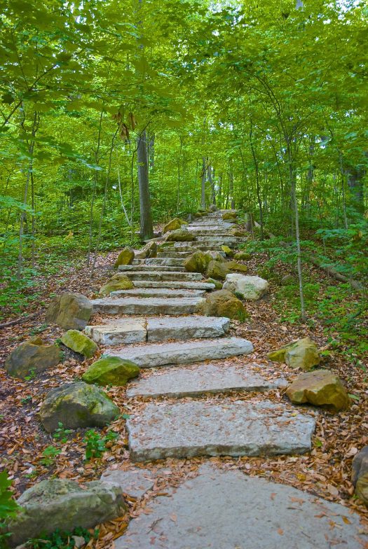 Stone pathway in the woods