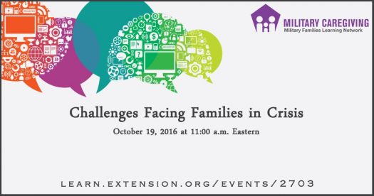 Challenges Facing Families in Crisis banner