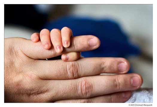 A baby's hand holding the little finger of an adult's hand