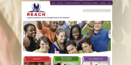 REACH website homepage