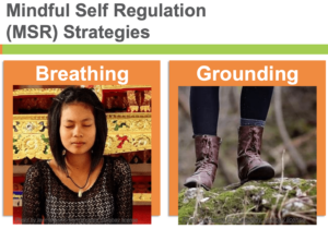 Mindful Self Regulation (MSR) Strategies