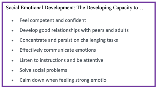 Social emotional development definition