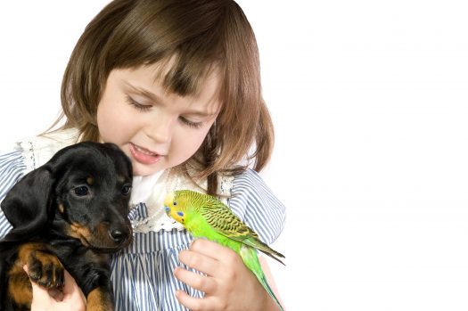 Little girl holding bird and dog