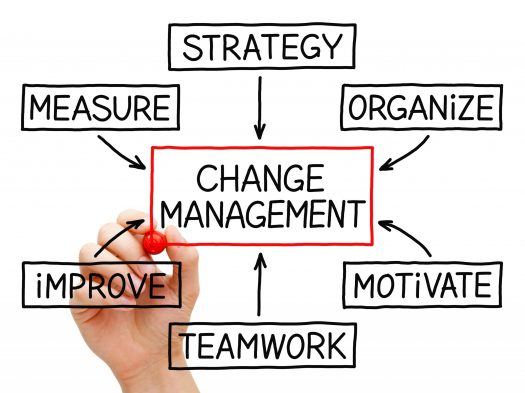 flowchart - "Change Management" in the center and the words "measure," "strategy," "organize," "motivate," "teamwork," and "improve" pointing towards the center