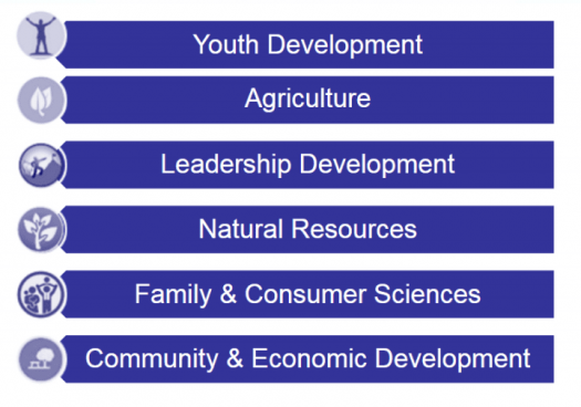 Graphic list: Youth Development; Agriculture; Leadership development; Natural Resources; Family & Consumer Sciences; Community & Economic Development