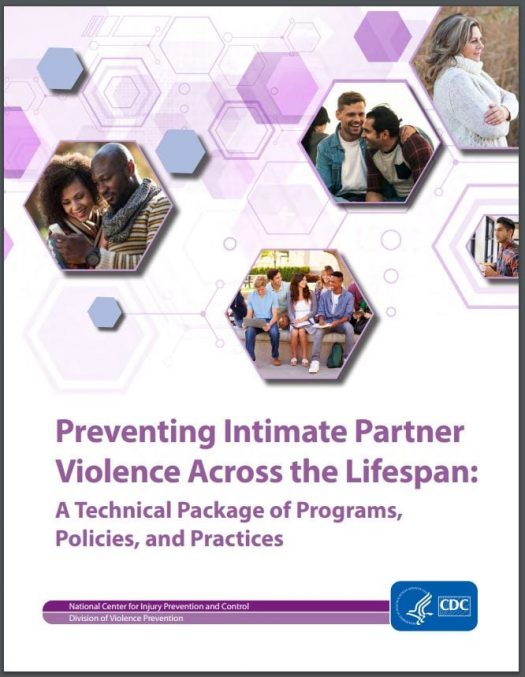 Preventing Intimate Partner Violence Across the Lifespan cover