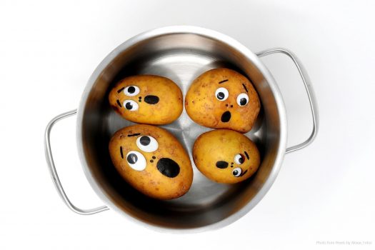 four potatoes with drawn-on surprised faces sitting in a pot