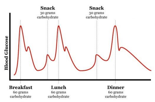 Blood glucose levels are affected by the timing of meals and snacks