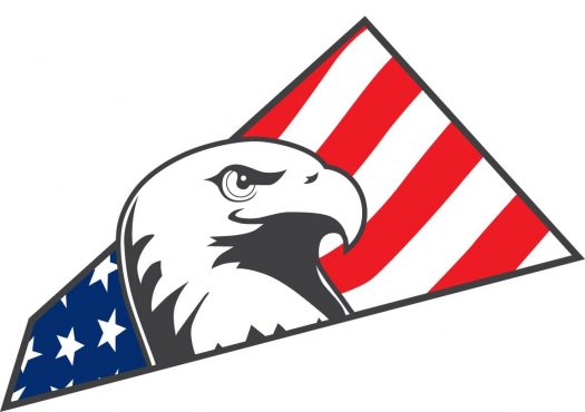 Military Saves Eagle icon