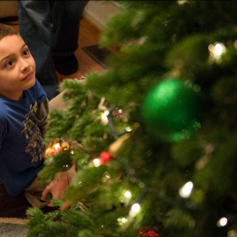 Timmy Payne admires his work on his family Christmas tree