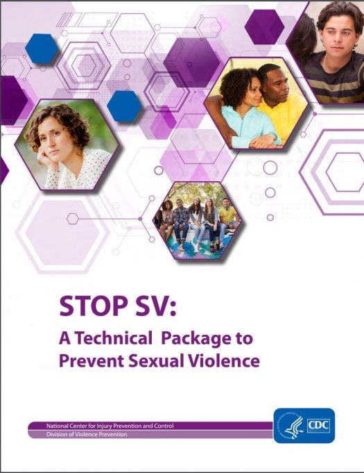 Stop SV: A Technical Package to Prevent Sexual Violence cover