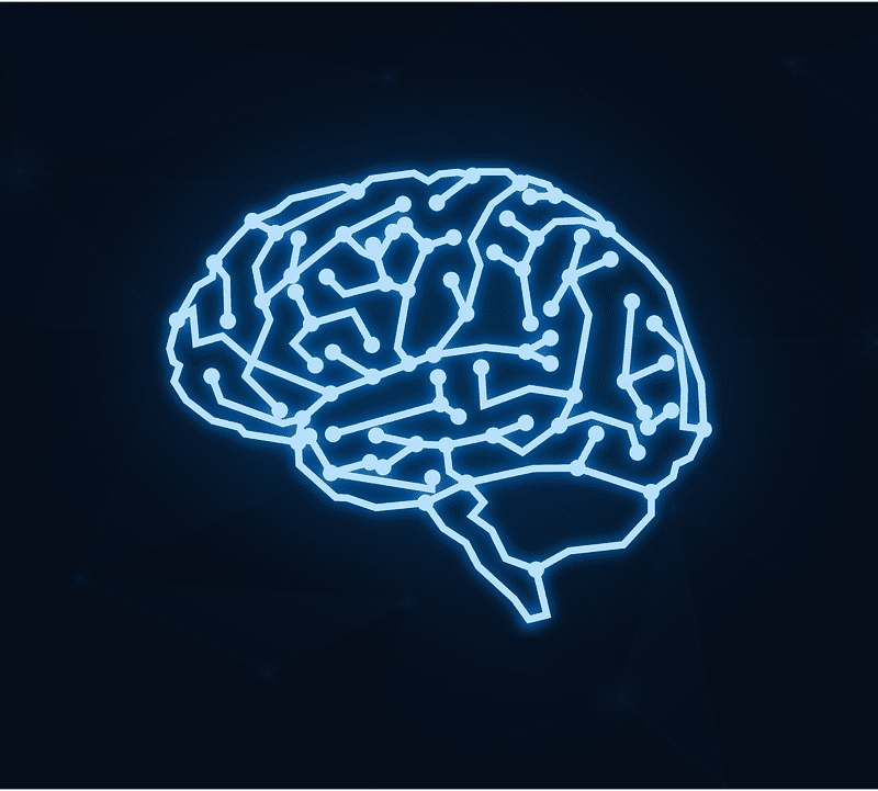 Brain Mind Cyber