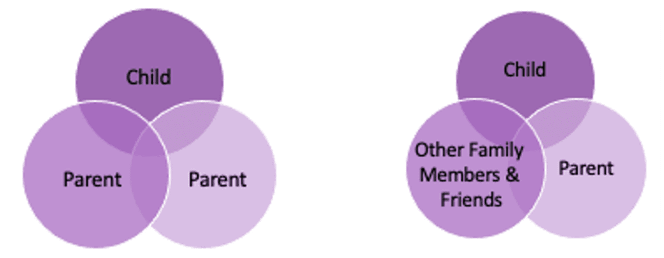 Venn Diagram circles of three with child parent and other