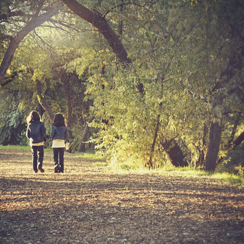 Two children walking down path through woods
