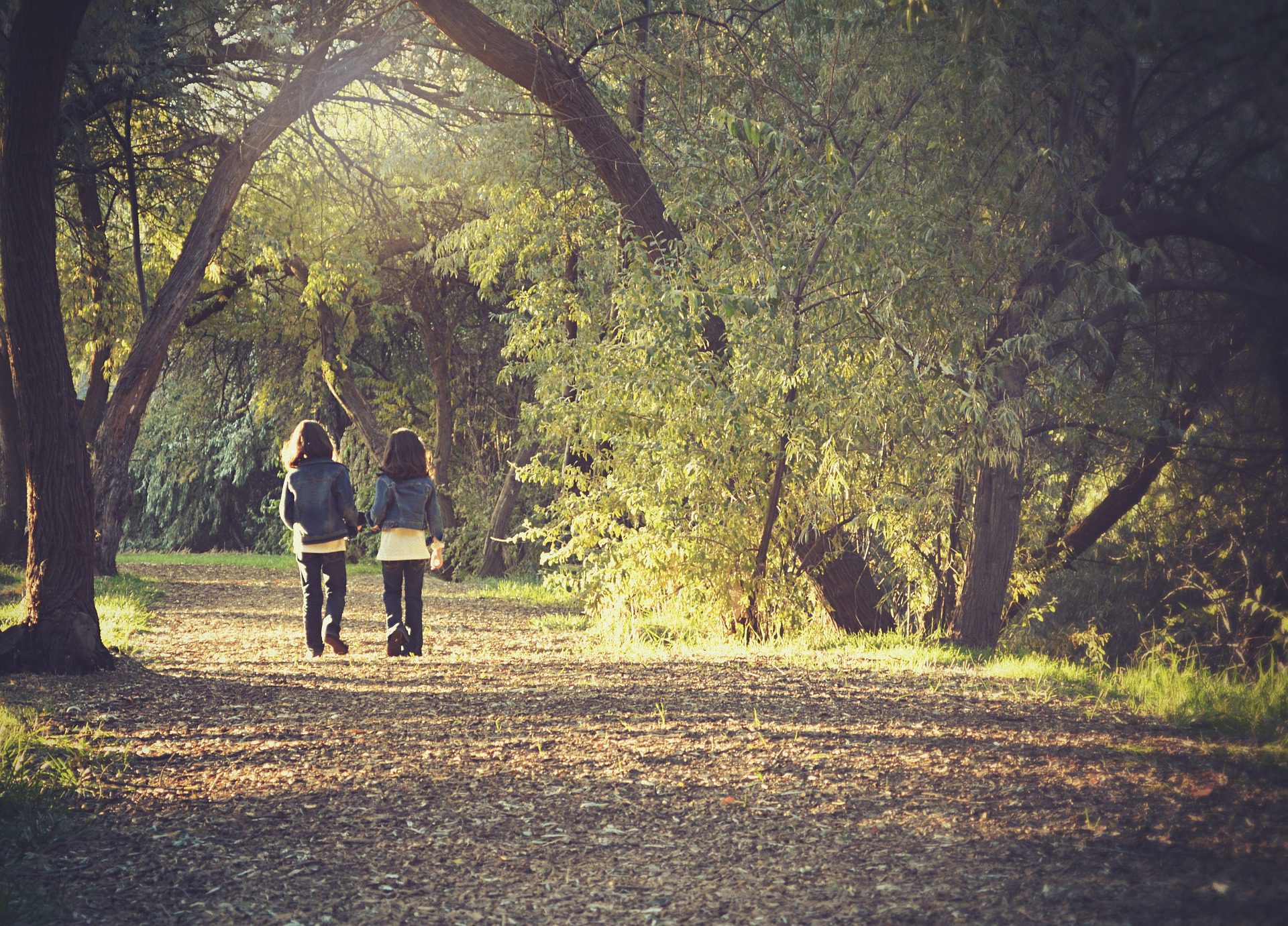 Two children walking down path through woods