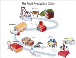 CDC The Food Production Supply Chain: Production to Processing to Distribution to Restaurant, Restaurant Preparation, Restaurant Consumers or to Retail, Home Preparation, Home Consumers