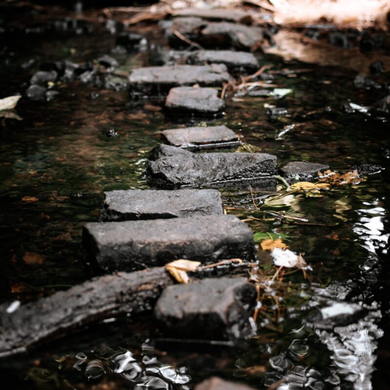 stepping stones in water