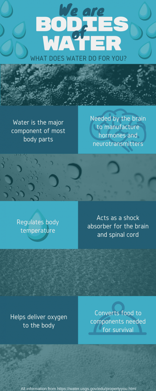 Water infographic: "We are bodies of water. What does water do for you? Water is the major component of most body parts. Needed by the brain to manufacture hormones and neurotransmitters. Regulates body temperature. Acts as a shock absorber for the brain and spinal cord. Helps deliver oxygen to the body. Converts food to components needed for survival."