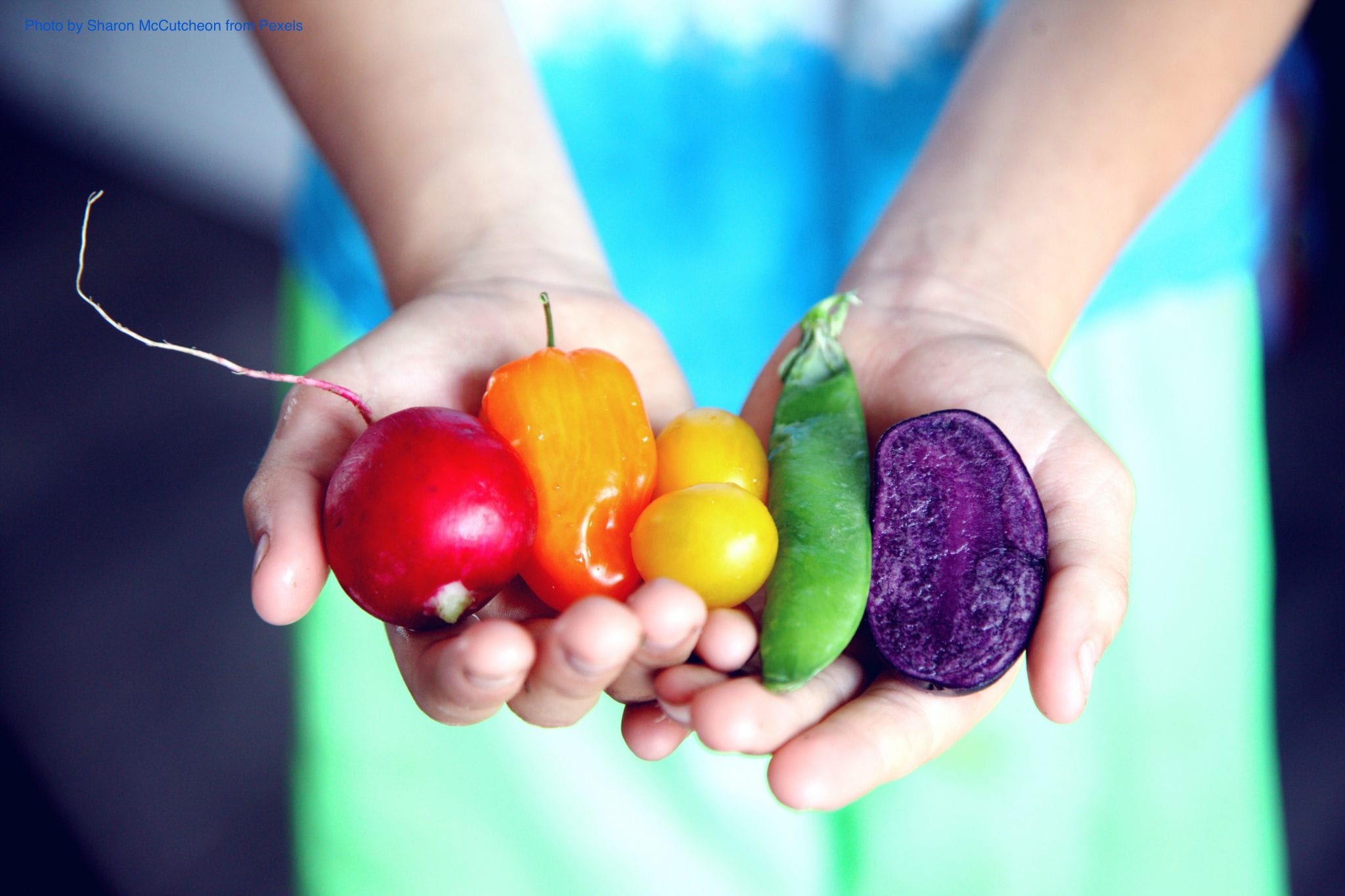Two hands holding Colorful vegetables