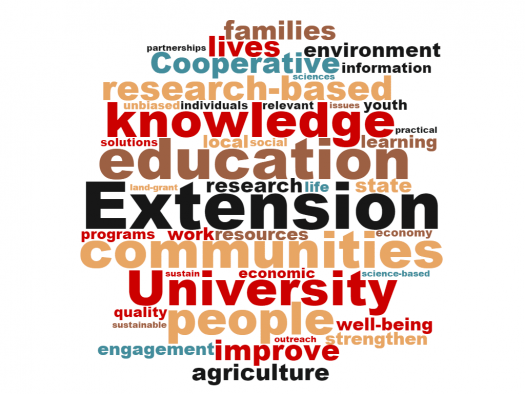 Extension word cloud