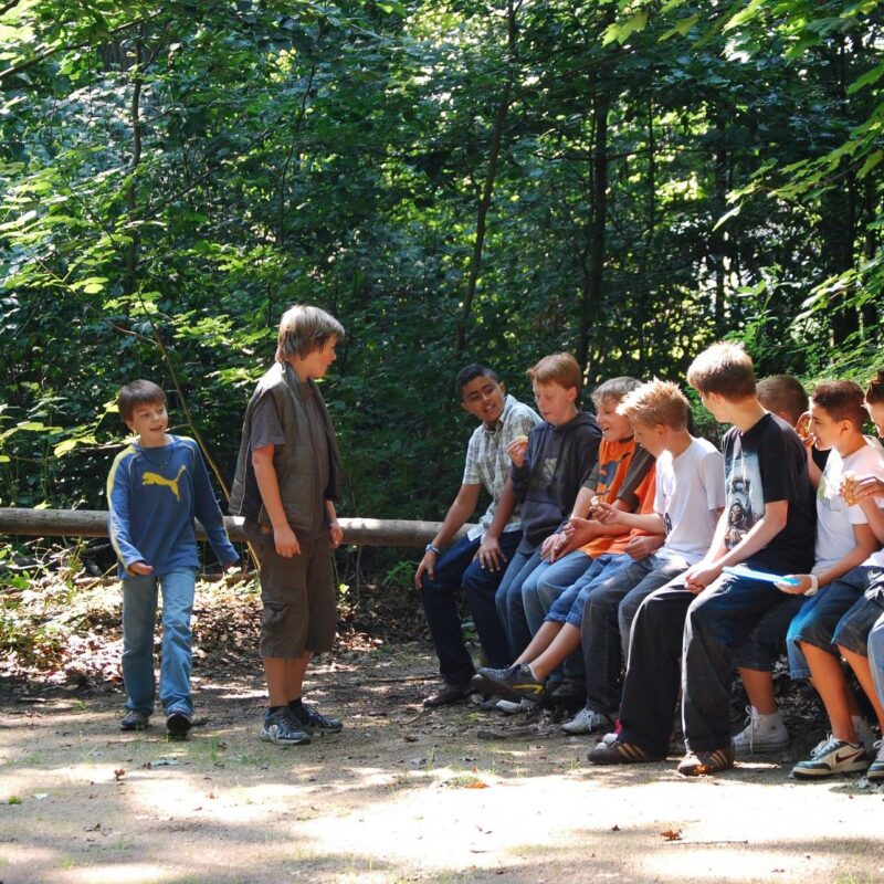 Group of pre-teen's sitting talking and laughing on a tree trunk across a trail.