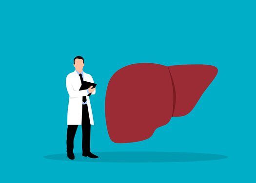 Cartoon of doctor in white coat standing next to a liver. 