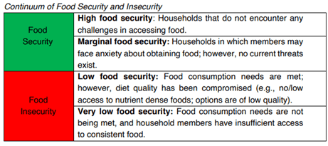 text boxes describing high, marginal, low and very low food security
