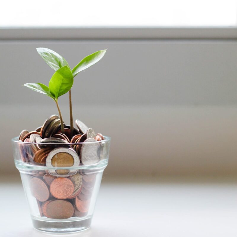 jar of coins with a plant growing out of the top