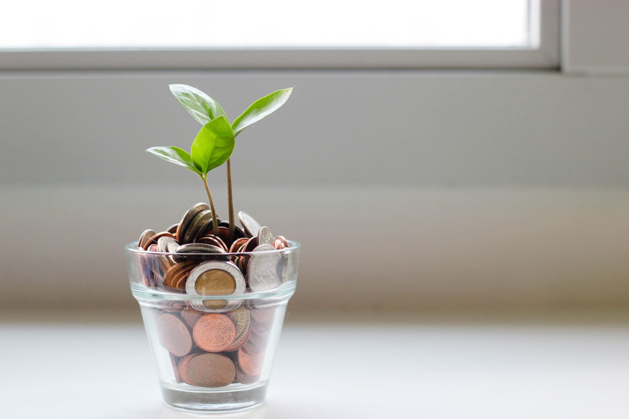 jar of coins with a plant growing out of the top
