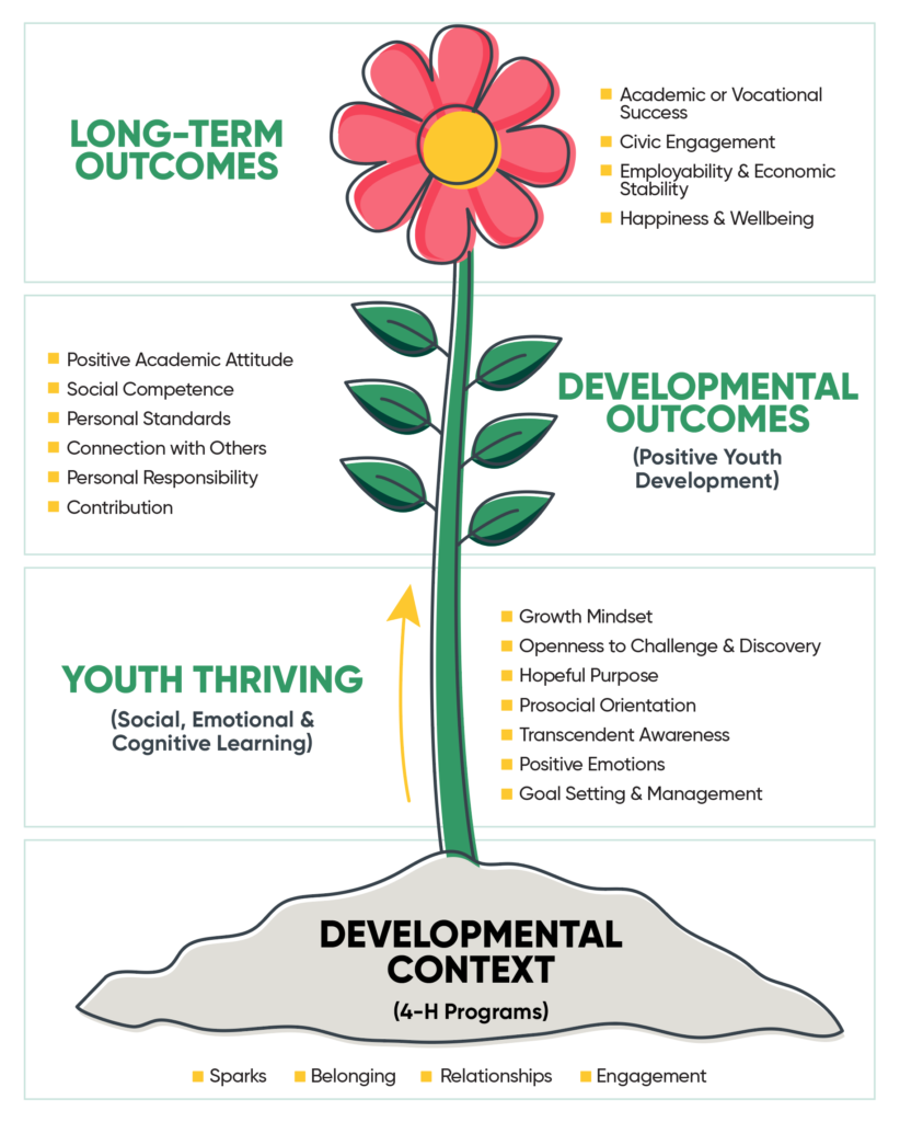  with long-term outcomes at the top represented by the blossom, the middle stem and leaves representing developmental outcomes, the bottom stem representing youth thriving and the soil representing the developmental context.