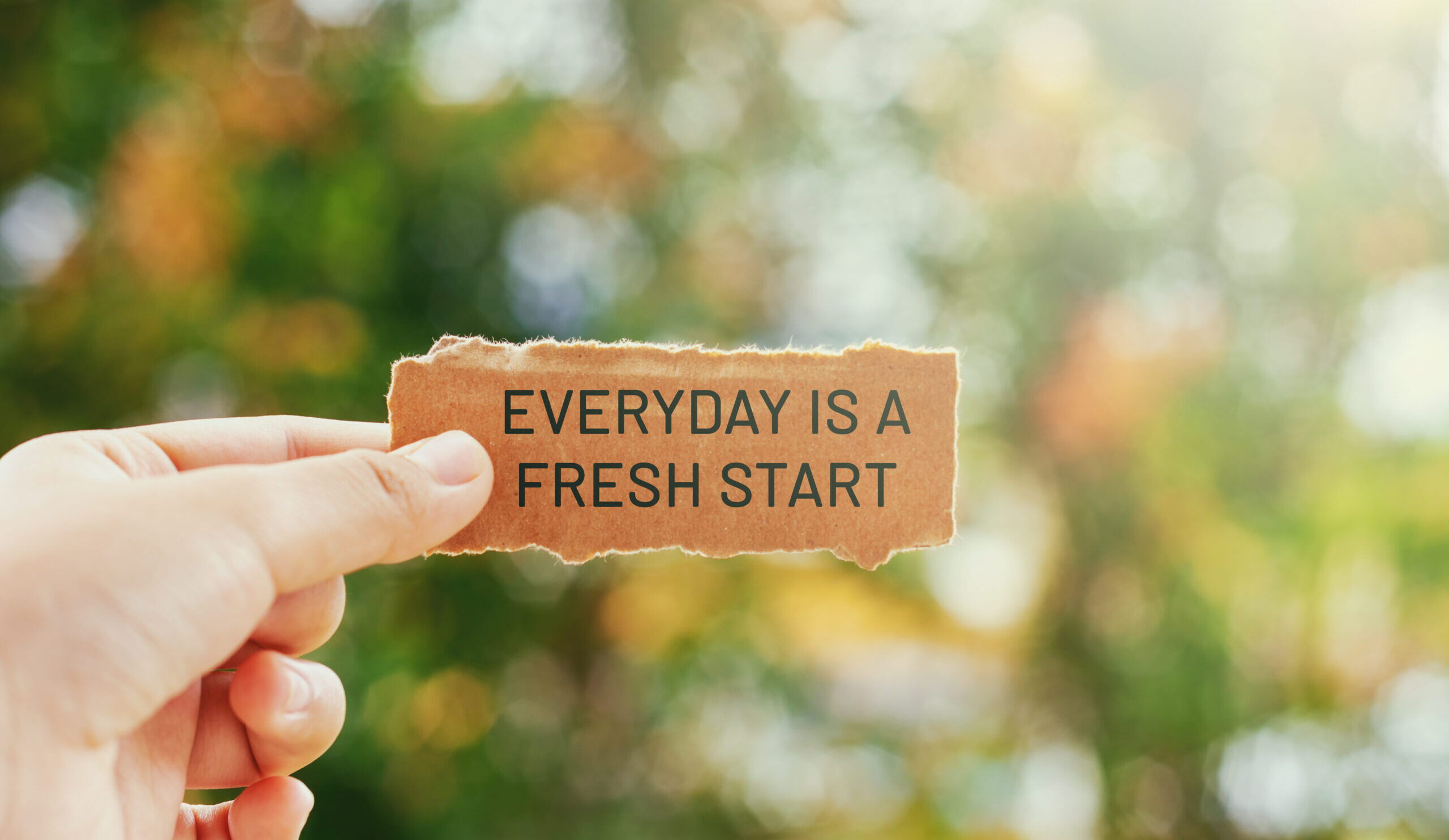 Inspirational life quotes - Everyday is a fresh start written on paper held between two fingers with a bright greenery background