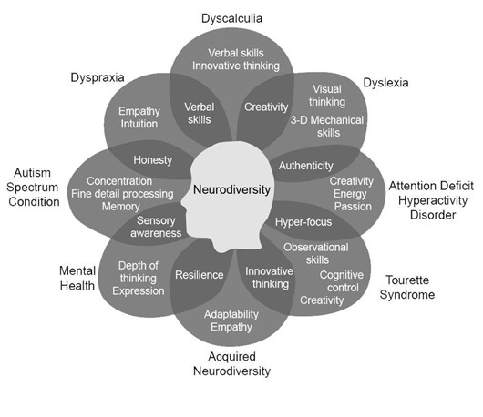 an image to describe the various arenas of neurodiversity 
