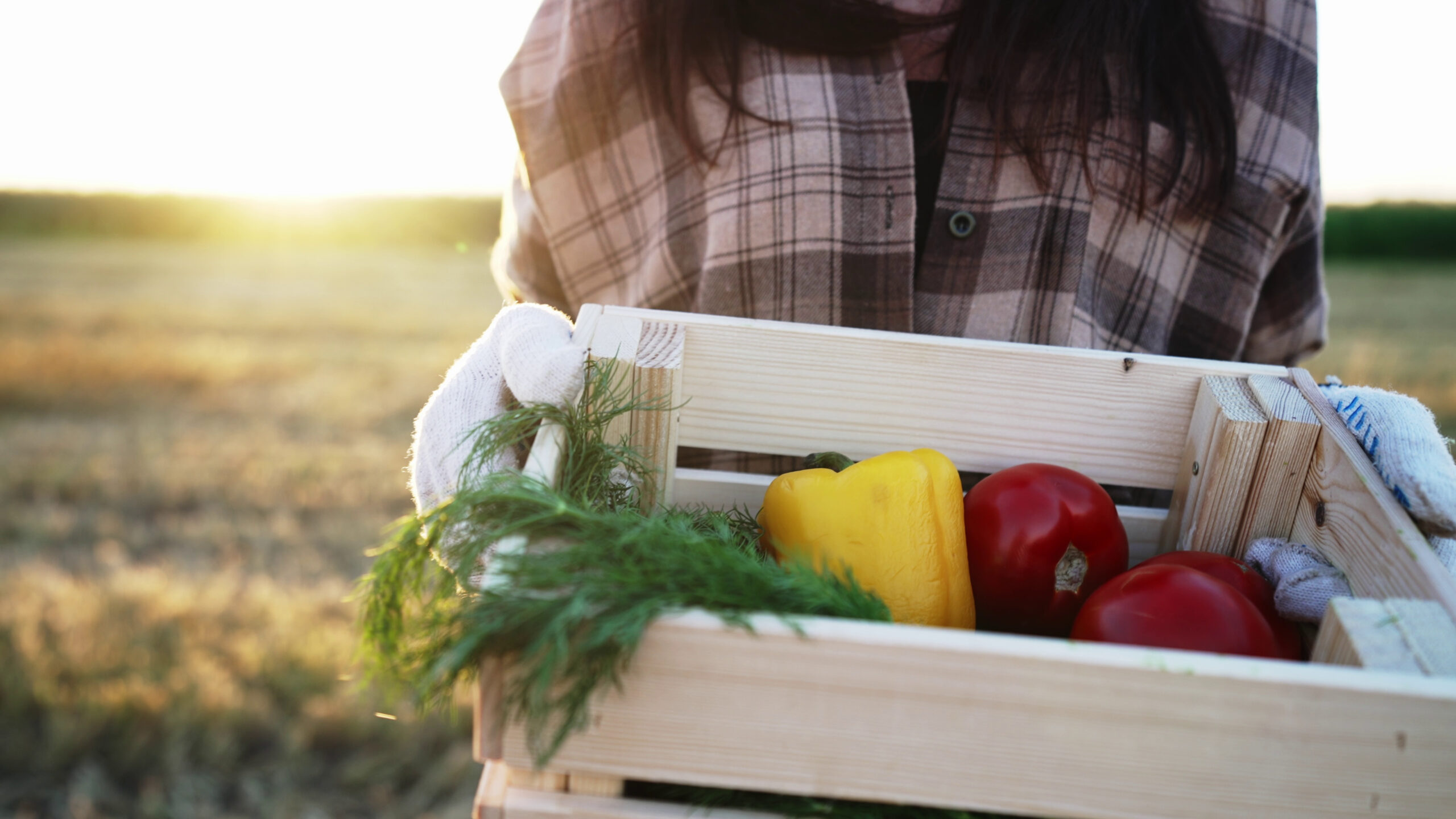Woman holding a wooden box of fresh produce including carrots and sweet bell peppers fresh from the garden.