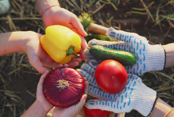 Top view of hands holding fresh produce in a garden.